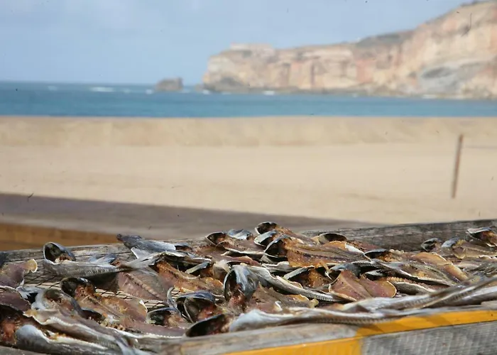 Casa Dos Pexins נאזרה