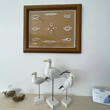 Casa Dos Pexins * Nazaré