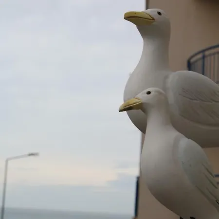 Casa Dos Pexins Apartment Nazare